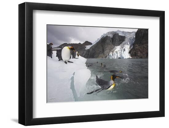 Premium Photographic Print, , large