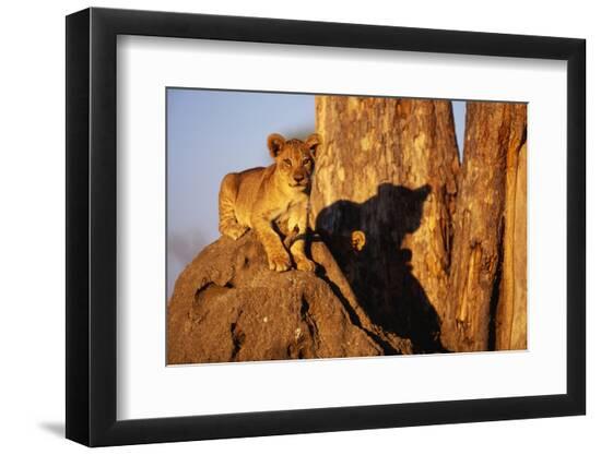 Premium Photographic Print, , large
