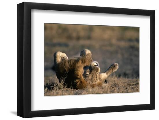 Premium Photographic Print, , large