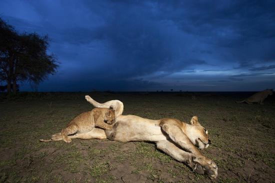 Premium Photographic Print, , large