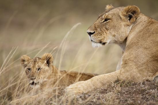 Premium Photographic Print, , large
