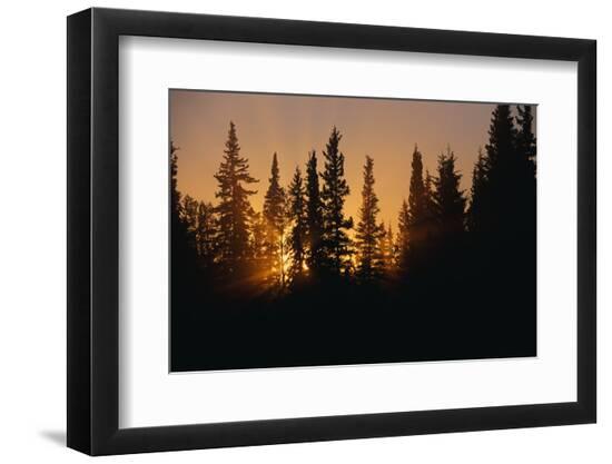 Premium Photographic Print, , large