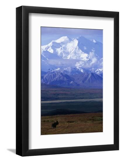 Premium Photographic Print, , large