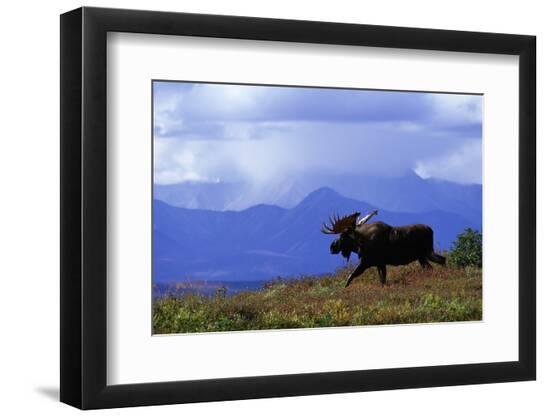 Premium Photographic Print, , large