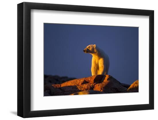 Premium Photographic Print, , large