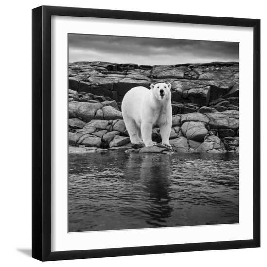 Premium Photographic Print, , large