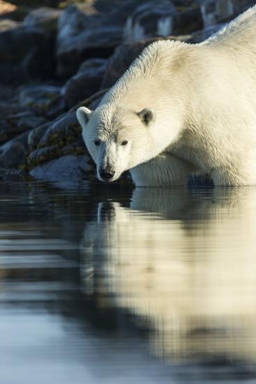 Photographic Print, , large