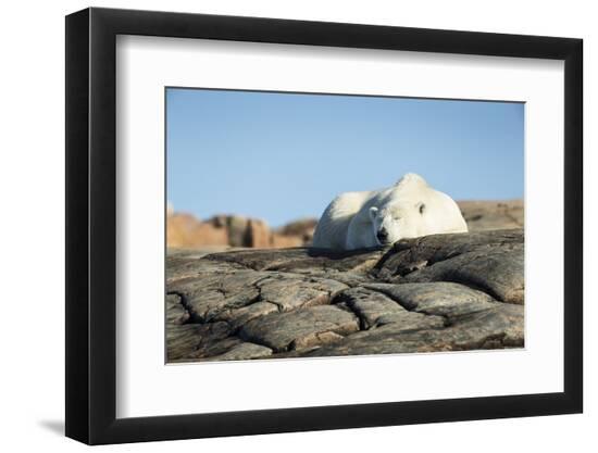 Premium Photographic Print, , large