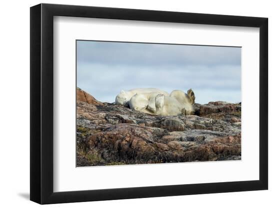 Premium Photographic Print, , large