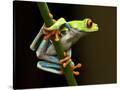 Stretched Canvas