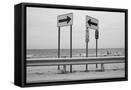 Framed Canvas