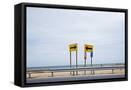 Framed Canvas