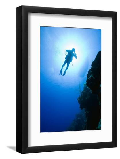 Premium Photographic Print, , large