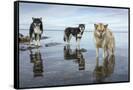 Canvas Black