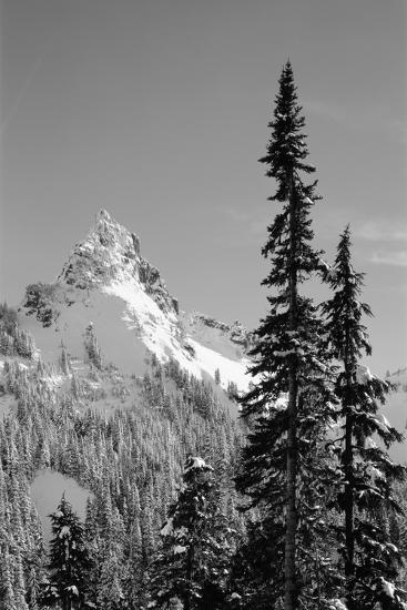 Premium Photographic Print, , large