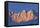 Framed Canvas