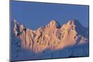 Wood Mount