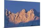 Wood Mount