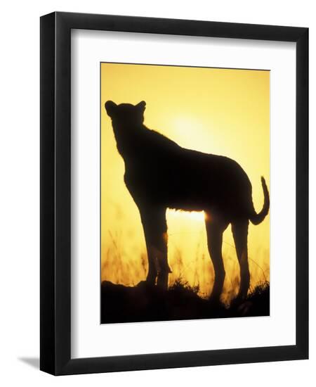 Photographic Print, , large
