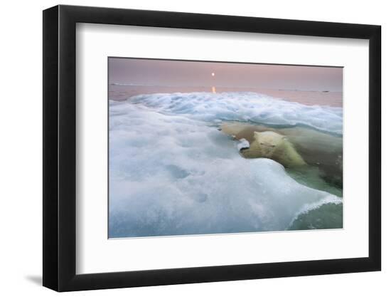 Premium Photographic Print, , large