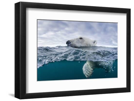 Premium Photographic Print, , large