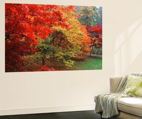 Giant Art Print, , large