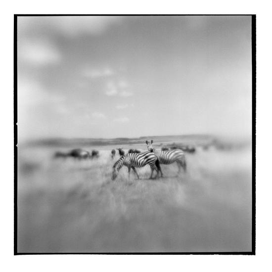 Premium Photographic Print, , large