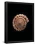 Essential Black