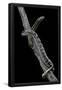 Essential Black