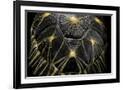 Gramercy Black