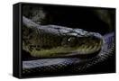 Canvas Black