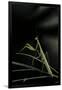 Gramercy Black