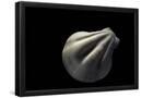 Essential Black