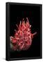 Essential Black