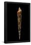 Essential Black