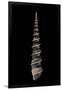 Gramercy Black