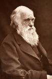 1874 Charles Darwin Picture by Leonard.-Paul Stewart-Photographic Print