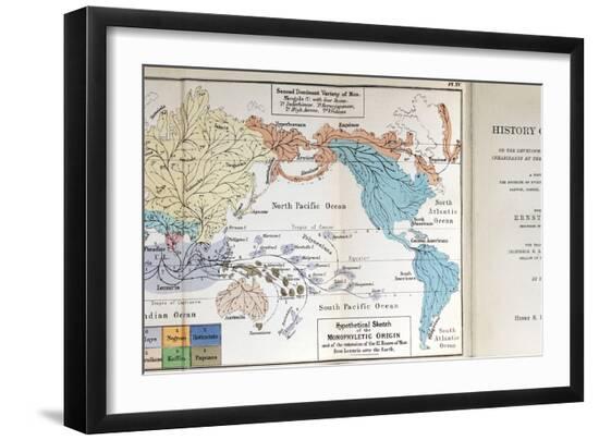 Premium Photographic Print, , large