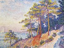 St Tropez, the Custom's Path, 1905-Paul Theodor van Brussel-Framed Stretched Canvas