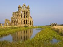 Ruins of Whitby Abbey in North Yorkshire-Paul Thompson-Photographic Print