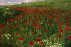 The Poppy Field-Paul von Szinyei-Merse-Giclee Print