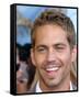 Paul Walker-null-Framed Stretched Canvas