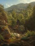 Scene in the Catskills, 1858-Paul Weber-Framed Giclee Print