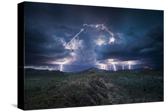 Stretched Canvas Print, , large