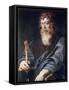 Paul-Peter Paul Rubens-Framed Stretched Canvas