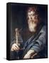 Paul-Peter Paul Rubens-Framed Stretched Canvas