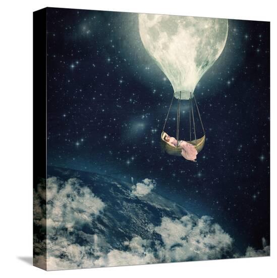 Stretched Canvas Print, , large