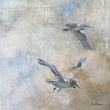 Coastal Birds I-Paula Giltner-Art Print