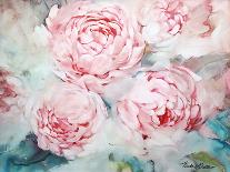 Pink Peonies II-Paula Giltner-Stretched Canvas