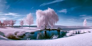 Infrared Scene of a Pond and Trees on a Beautiful Sunny Day-paulacobleigh-Photographic Print